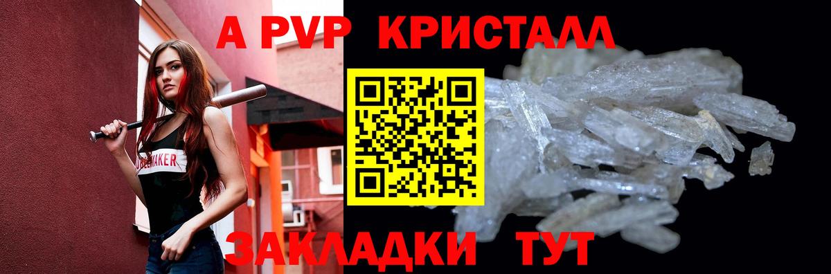 Alfa_PVP СК КРИС Мичуринск