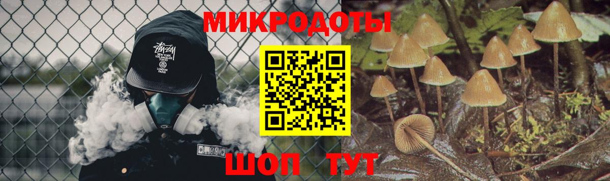 Галлюциногенные грибы GOLDEN TEACHER  Вход с VPN  Мичуринск 